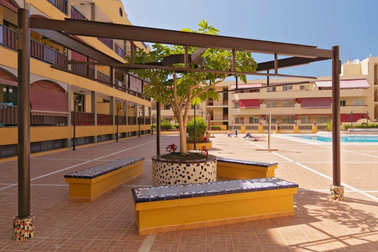 Tenerife mejor clima, sitio privilegiado Puerto de Santiago  Esterno foto
